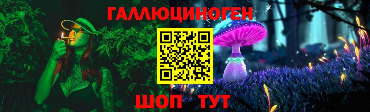 Гай  Псилоцибиновые грибы мицелий  цена   Псилоцибиновые грибы мухоморы  Вход с VPN 