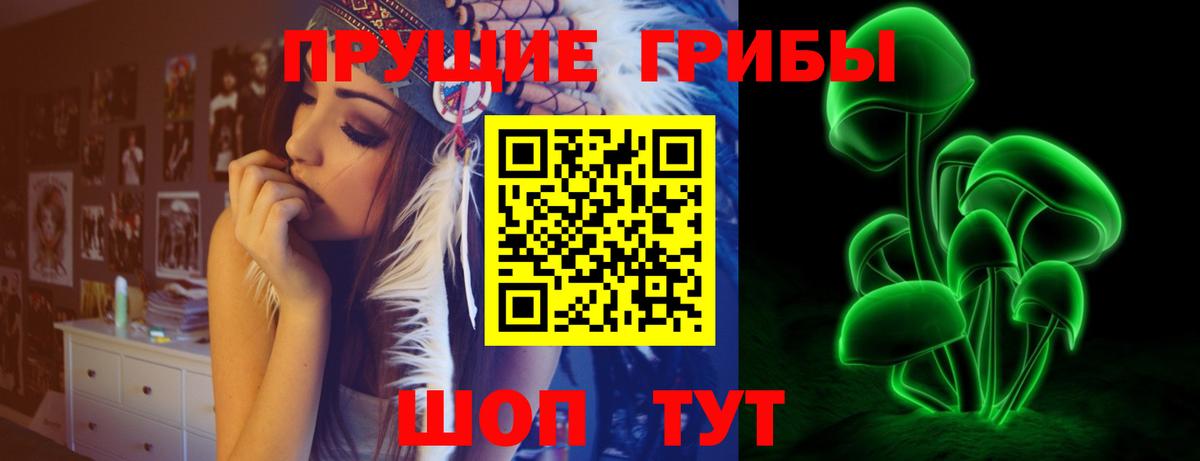 Галлюциногенные грибы Psilocybine cubensis Гай